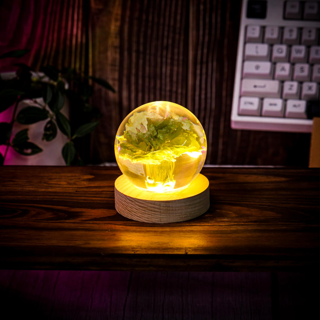 Carnation Flower Sphere Resin Lamp