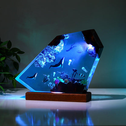 Orca and divers night light