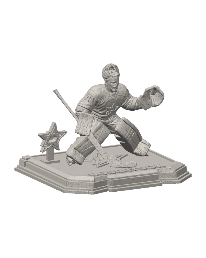 Stars goalie