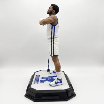 Kentucky Wildcats