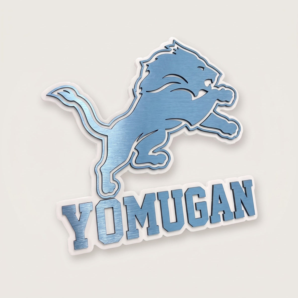 Detroit Lions