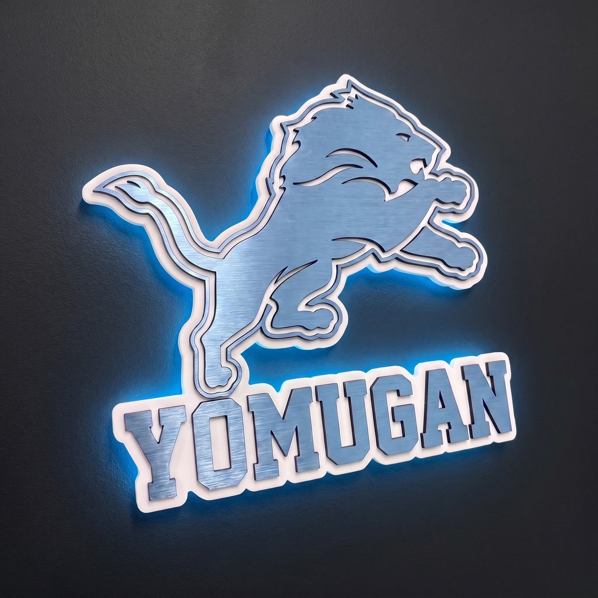 Detroit Lions