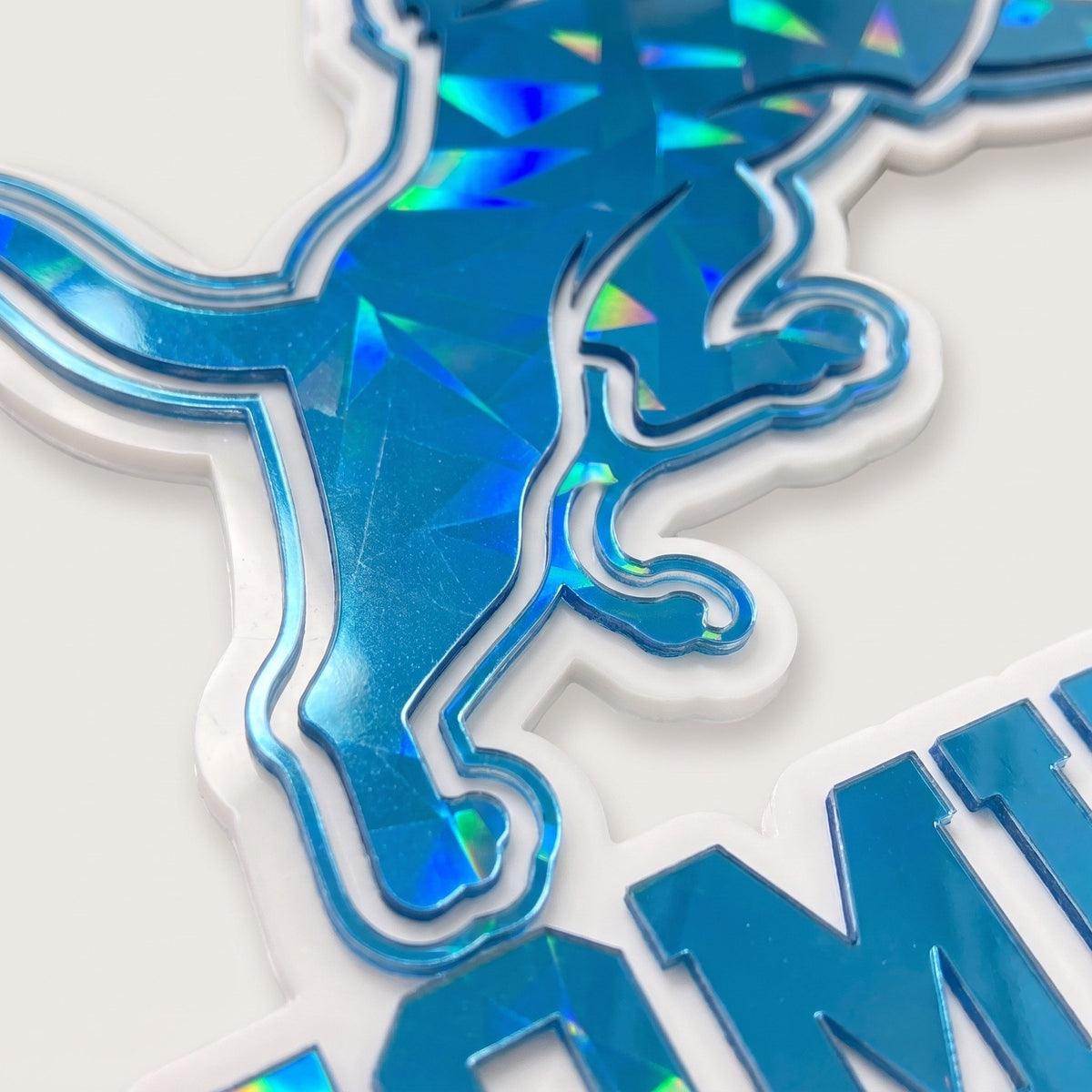 Detroit Lions