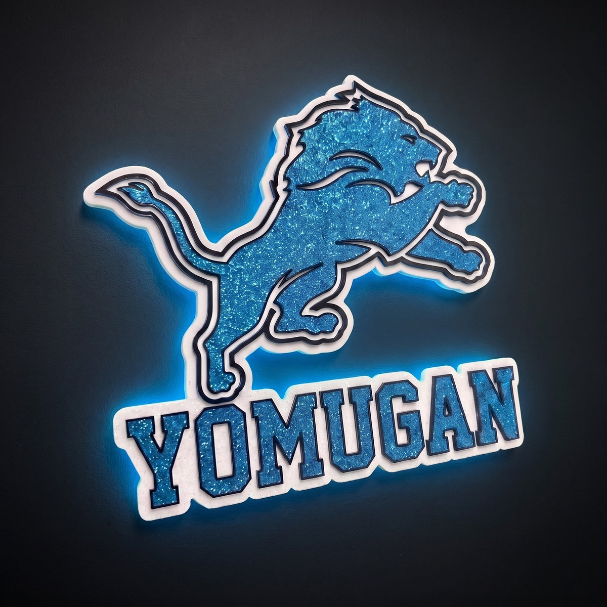 Detroit Lions