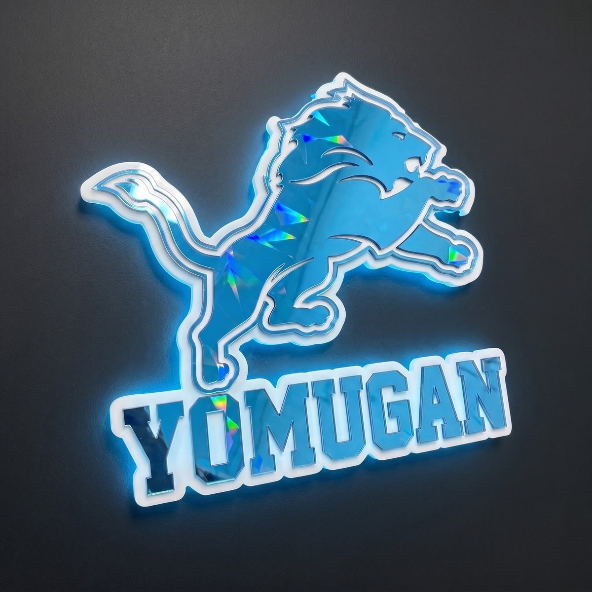Detroit Lions