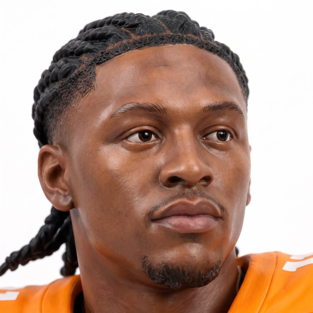 Tennessee Volunteers