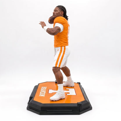 Tennessee Volunteers