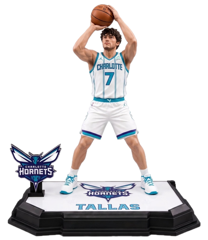 Charlotte Hornets