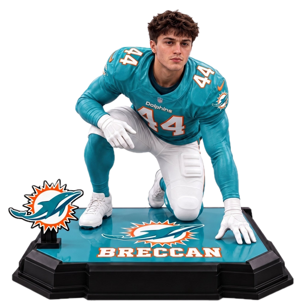 Miami Dolphins