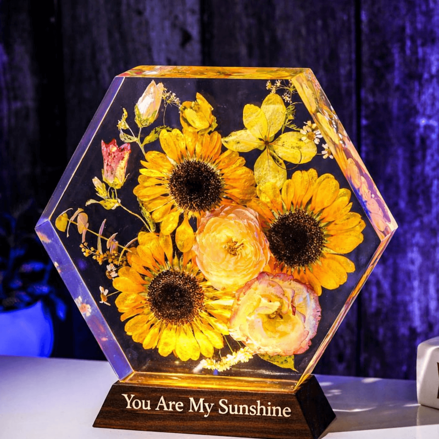 Hexagon Real Sunflower Night Light