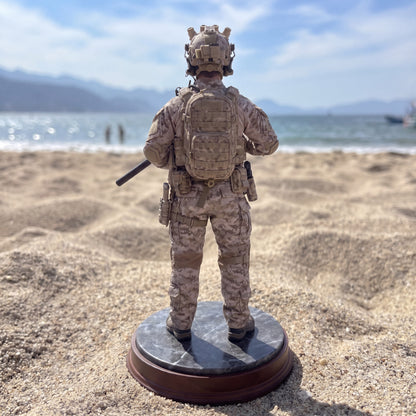 Custom U.S. Navy Figure